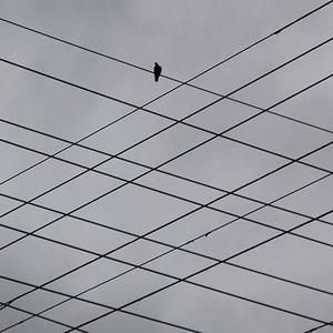 Meet your Posher, Winthandar